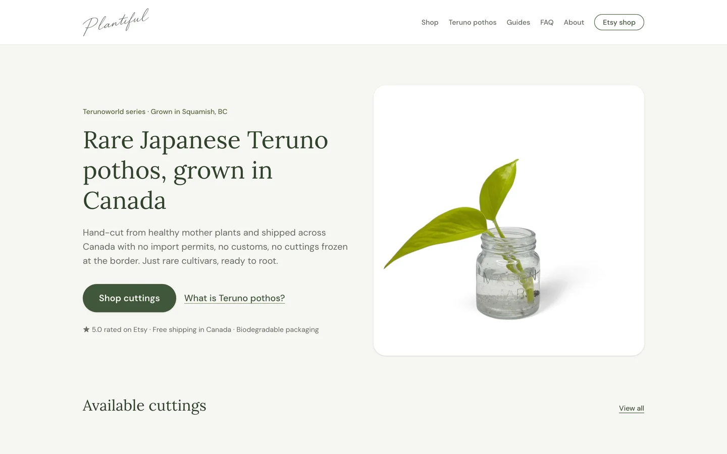 Plantiful home page on desktop: cream background, serif headline reading "Rare Japanese Teruno pothos, grown in Canada", and a cutting in a glass jar